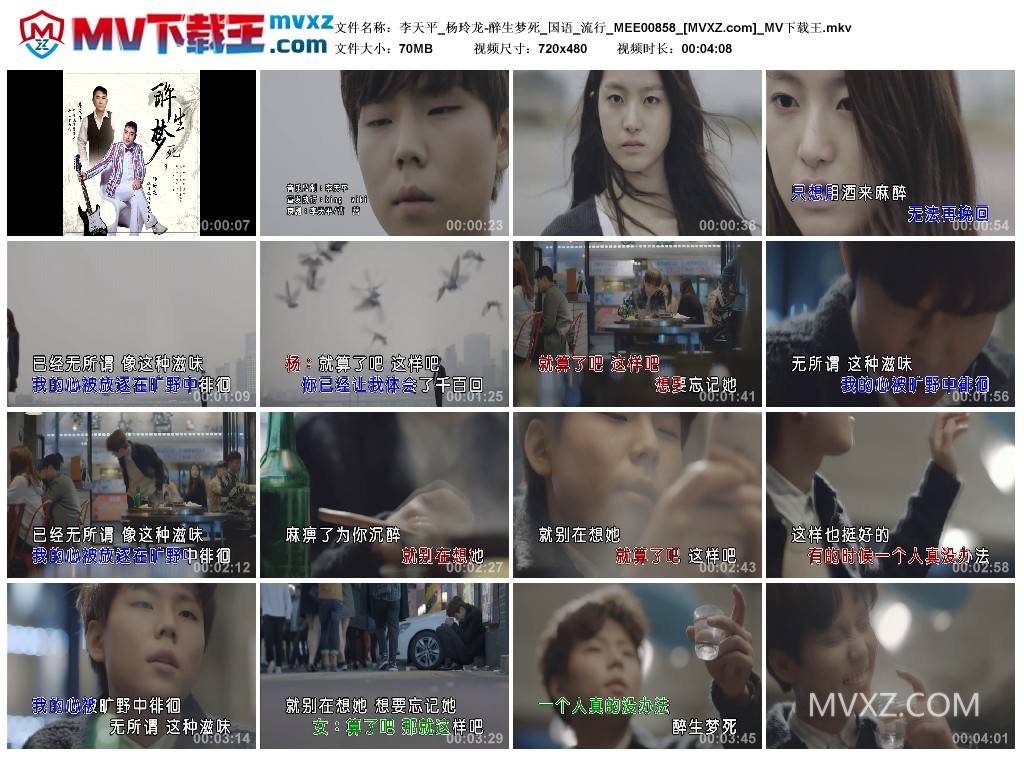 李天平_杨玲龙-醉生梦死_国语_流行_MEE00858